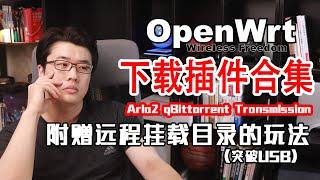 【韩风Talk】Openwrt下载插件的玩法合集（Aria2插件/qBittorrent插件/Transmission插件/远程挂载插件）