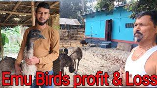 Emu farming | Emu birds profit & Loss | Emu Eggs Hatching Temperature | emu birds price in assam