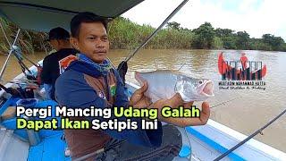 Mancing Udang Galah Dapat Ikan Pipih‼️ Bersama Pak Agus PT. MJM Dan Riyan Security PT. Thiveni