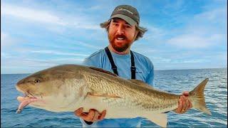 Saltwater Fishing Tips for Fall 2024: Spots, Lures, and Tactics