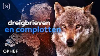 Met de dood bedreigd om de wolf