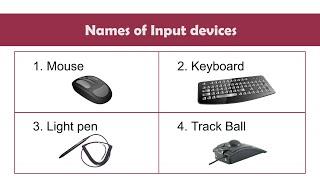 15 input device name | 15 computer input device name | input devices