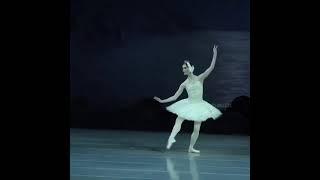 Swan  Lake  #swanlake #ballet #mariinsky #russia