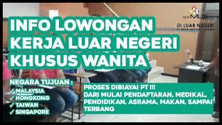 Daftar Nama Pjtki Resmi Di Indonesia Blitar 2023 New MLS, PT Mulia Laksana Sejahtera 0857-4948-4188