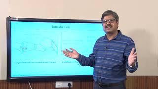 Lec 7: St. Venant Equation and Solver