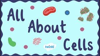 All About Animal Cells for Kids | Middle School Science | Twinkl USA