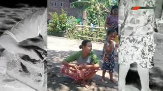 Viral Lombok | Besiak Kance Mentoaqn Mele Teseang#viral #lombok