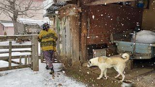 Life in the Coldest Mountain Village. Village Life in Winter in Turkey.