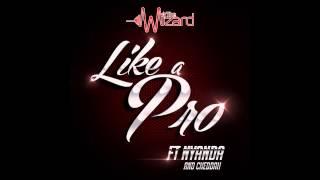 LIKE A PRO - The Wizard ft Nyanda & Chedda