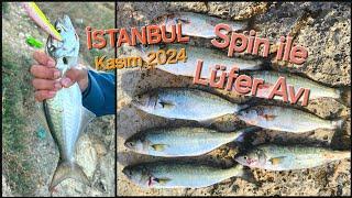 HARBİ LÜFER BURADA! - KASIM 2024 - İSTANBUL Spin ile Lüfer Avı