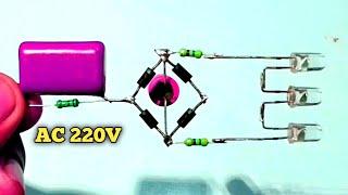 AC 220V Electronic Project Circuit   Using / IN4007 Diode (HomemadeProject55)