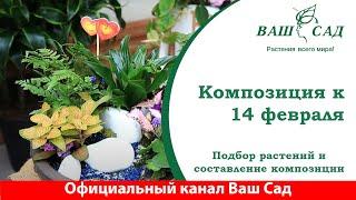 Как сделать красивую цветочную композицию к 14 февраля? Ваш сад