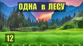 ПОЛЯНА для РОБИНЗОНА ТРЕНИРОВКА ВЫЖИВАНИЕ ОДНА В ЛЕСУ СУДЬБА ПЛЕМЯ ОБРЯДЫ ШАМАН и ЦЕЛИТЕЛЬНИЦА12