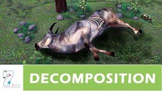 DECOMPOSITION _ PART 01