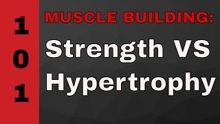 Muscle Building 101 | Strength vs. Hypertrophy, Volume Recommendations And More