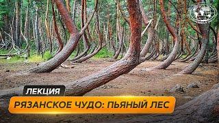 Пьяный лес, железный гусь и исчезновение города Рязанской области |@Русское географическое общество