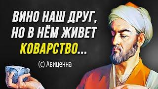 Мудрость великого персидского ученого Авиценны (Ибн Сина) | Умные мысли и цитаты о жизни и здоровье