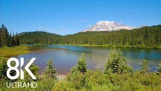 8HRS of Birds Songs and Mountain Lake Sounds - 8K Summer Day at Reflection Lake, Mount Rainier Area