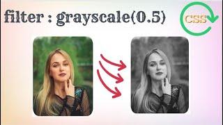 How to use CSS grayscale() function | Learn programming in Hindi and Urdu