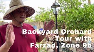 Backyard Orchard Tour 60+ Tropical Fruit trees, Zone 9b with Farzad, Edible Landscape