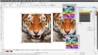 Index Color Separations in CorelDRAW