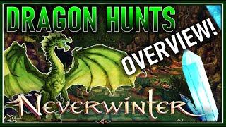 DRAGON HUNTS Made SIMPLE! All You SHOULD Know! System Overview - Neverwinter Preview M23