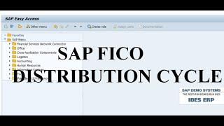 DISTRIBUTION CYCLE SAP FICO