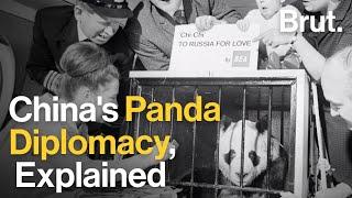 China's Panda Diplomacy, Explained