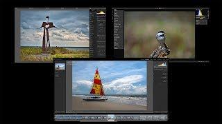 5 Differences Between Lightroom, Luminar, and On1