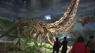 Dinosauriermuseum Zigong, Sichuan - China Travel Channel