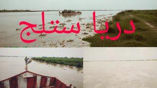 flood secuation in sutlej River\sutlej river near tara cheena\sutlej river