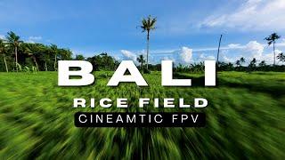 Bali Rice Fields - UNSEEN FPV Drone Footage | Cinematic 5K