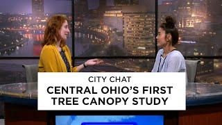 City Chat: Ohio's First Comprehensive Tree Canopy Study