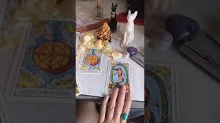 Read Tarot Cards & Fortune Telling  Periscope Live Broadcast 