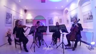 Englishman In New York - Sting - Palladio String Quartet