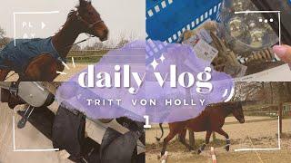 Tritt von Holly… | BinieBo Story Vlog 1