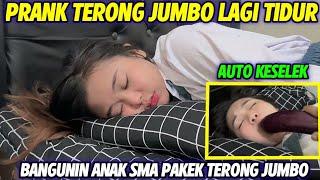 PRANK BANGUNIN ANAK SMA PAKEK TERONG JUMBO