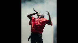 Playboi Carti Loop Kit/Sample Pack - ''00CACTUS'' (Playboi Carti, Travis Scott)