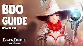 Black Desert ► Beginner Guide EP 01 | Getting Started, FPS Optimization, and Setting Goals (2019)