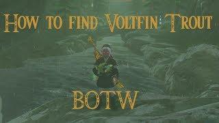 How to find VOLTFIN TROUT BOTW 2020