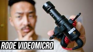 Buying a RODE VIDEOMICRO? Watch this first. (FULL Review + Audio Test)