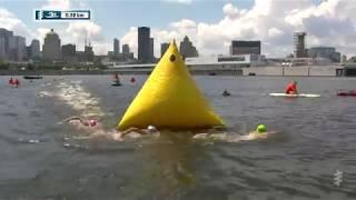 Groupe Copley World Triathlon Montreal 2019: Women's Highlights