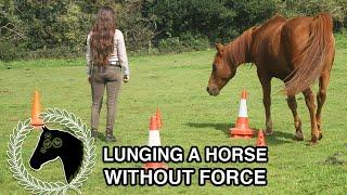 Lunging a horse without force