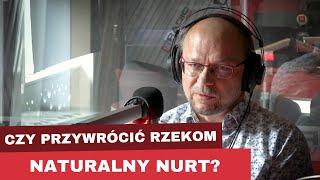 Czy należy przywrócić wszystkim rzekom naturalny nurt?