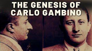 Mafia History: The Gambino Family