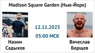 Назим Садыхов — Вячеслав Борщёв прогноз 12 ноября 2023 UFC 295