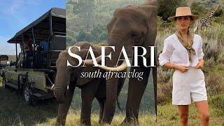 SOUTH AFRICA SAFARI VLOG | A trip of a life time   Kate Hutchins