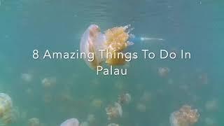 8 Amazing Things To Do In Palau