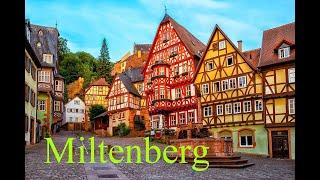 Поездка в город Мильтенберг!  A trip to the city of Miltenberg!