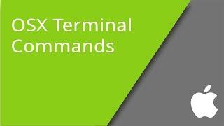 Basic Terminal Commands for OSX